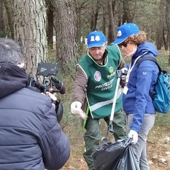 decine di bustoni di rifiuti vari raccolti nella pineta di Castel del Monte