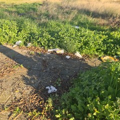 Zona PIP invasa dai rifiuti delle attività della ristorazione