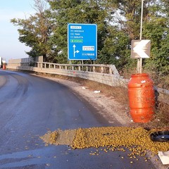 Tir perde parte del carico: olive in salamoia invadono la carreggiata