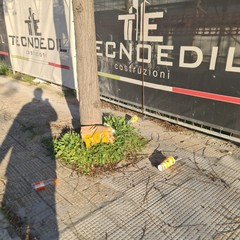 Zona PIP invasa dai rifiuti delle attività della ristorazione