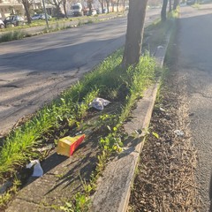 Zona PIP invasa dai rifiuti delle attività della ristorazione