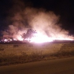 Vasto incendio di sterpaglia