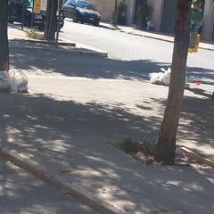buste della spazzatura lasciate in via Annunziata