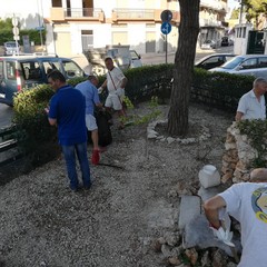 la cura dei giardinetti di piazzale Giuseppe Colasanto