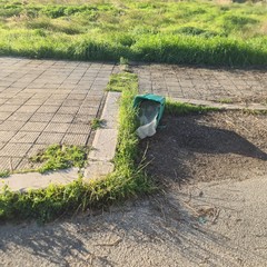 Zona PIP invasa dai rifiuti delle attività della ristorazione