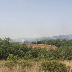 incendio contrada Pandolfelli