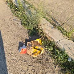 Zona PIP invasa dai rifiuti delle attività della ristorazione