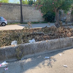 Degrado e sporcizia per piazza San Pio X