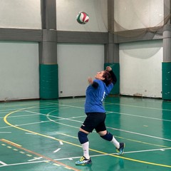 associazione Audax volley
