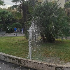 danneggiato impianto di irrigazione zona Cappuccini