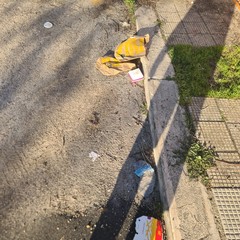 Zona PIP invasa dai rifiuti delle attività della ristorazione