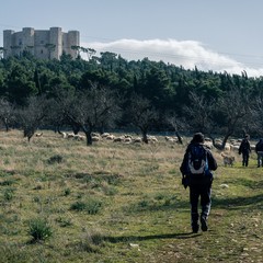 Puglia Federiciana, Cammino di Federico II