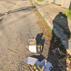 Zona PIP invasa dai rifiuti delle attività della ristorazione