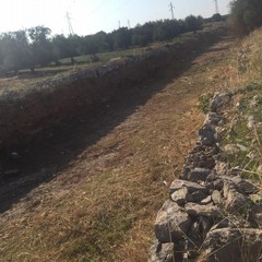 pulizia del tratto urbano del canalone Ciappetta Camaggio