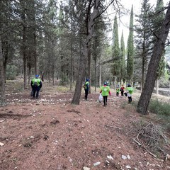 decine di bustoni di rifiuti vari raccolti nella pineta di Castel del Monte