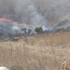 Oltre 350 ettari di pascolo e semi arborato in fumo