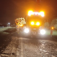 camion uscito di strada, carico di legname