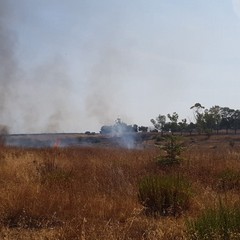 Incendio in contrada Lamapaola: a fuoco semiarborato e cumuli di rifiuti