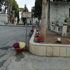 Commemorazione dei Defunti: al Cimitero rubati anche gli addobbi floreali