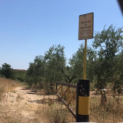Proseguono gli abbandoni di rifiuti nelle campagne tra Andria e Corato