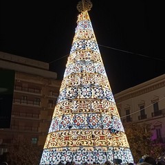 Acceso il grande Albero di Natale in Piazza Catuma