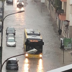 Piogge e temporali: tromba d'aria e strade allagate ad Andria