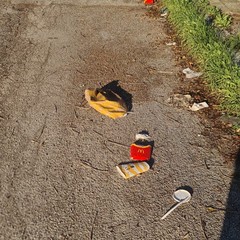 Zona PIP invasa dai rifiuti delle attività della ristorazione