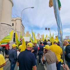 Comune di Andria alla manifestazione a sostegno del comparto agricolo