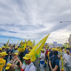 Comune di Andria alla manifestazione a sostegno del comparto agricolo