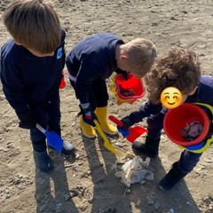 Scuola albero azzurro - attività di clean up del spiaggia