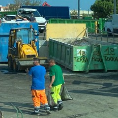 Scuola albero azzurro - attività di clean up del spiaggia