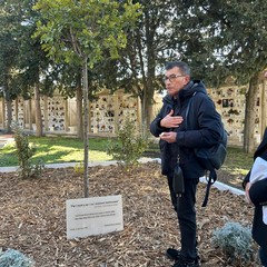 L'Albero della Memoria al cimitero di Andria