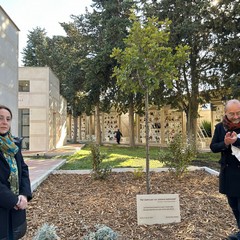 L'Albero della Memoria al cimitero di Andria