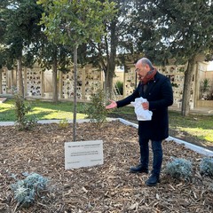 L'Albero della Memoria al cimitero di Andria