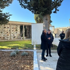 L'Albero della Memoria al cimitero di Andria