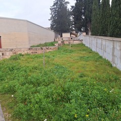 casi emblematici della condizione del verde pubblico ad Andria