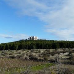 Andria panorama Castel del monte JPG