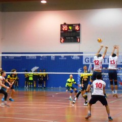andriavscosenza Caldarola JPG
