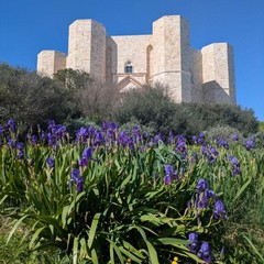 Castel del Monte dà il benvenuto alla primavera