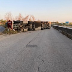 Camion frigo si ribalta sull'Andria Corato