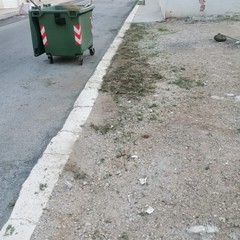 Nuovo interventi di pulizia in via Fornaci