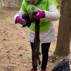 decine di bustoni di rifiuti vari raccolti nella pineta di Castel del Monte