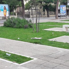 Piazza SS. Trinità ripulita da cittadini diligenti