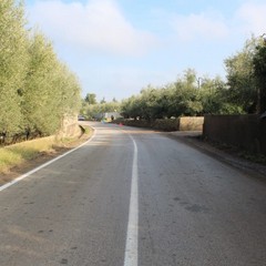 Auto fuori strada sulla S.P. 43 a poca distanza dal Santuario del SS. Salvatore