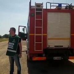 intervento delle Guardie ecozoofile di FareAmbiente Andria
