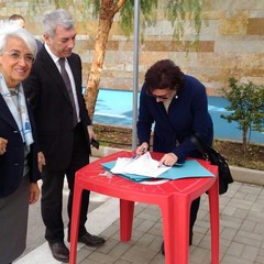 Viabilità della stazione Andria sud e collegamento via Bisceglie e via Paganini
