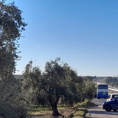 Traffico in tilt sull'Andria Canosa di Puglia causa il protrarsi dei lavori in corso
