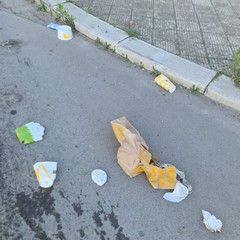 Zona PIP invasa dai rifiuti delle attività della ristorazione