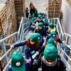 Visita all’Elaiopolio degli alunni della scuola primaria Verdi - Cafaro