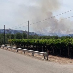 Oltre 350 ettari di pascolo e semi arborato in fumo